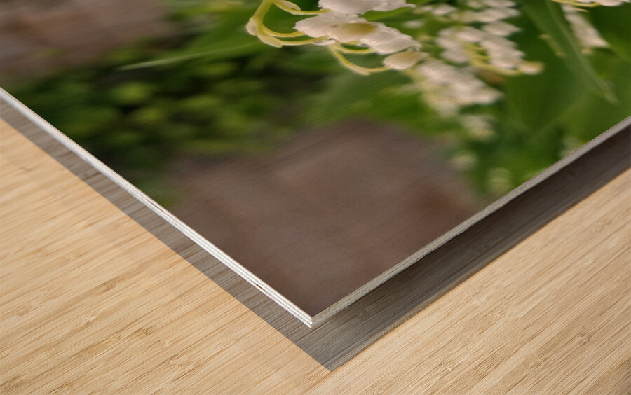 Lily Of The Valley Wood print