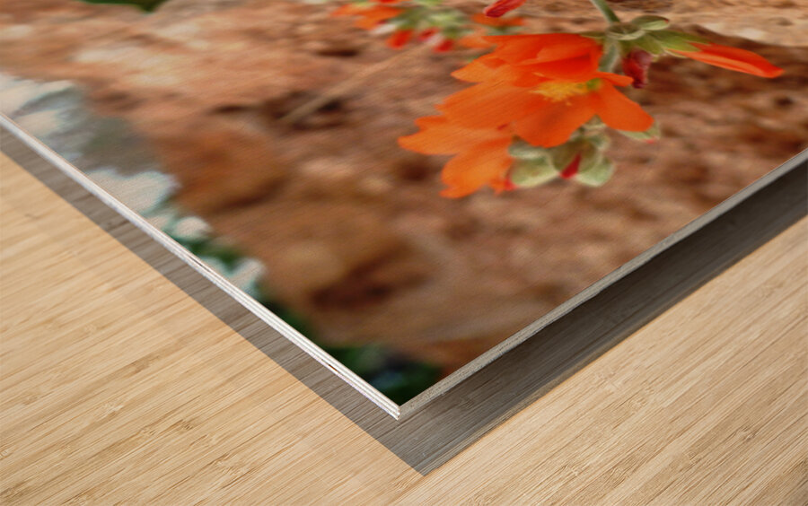 Orange Flowers Wood print