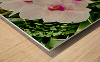 Orchid Cluster Wood print