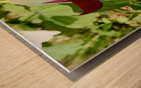 Red Trillium Nodding Wood print