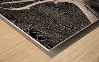 Roots Wood print