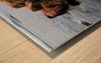 Acadia Coast Wood print